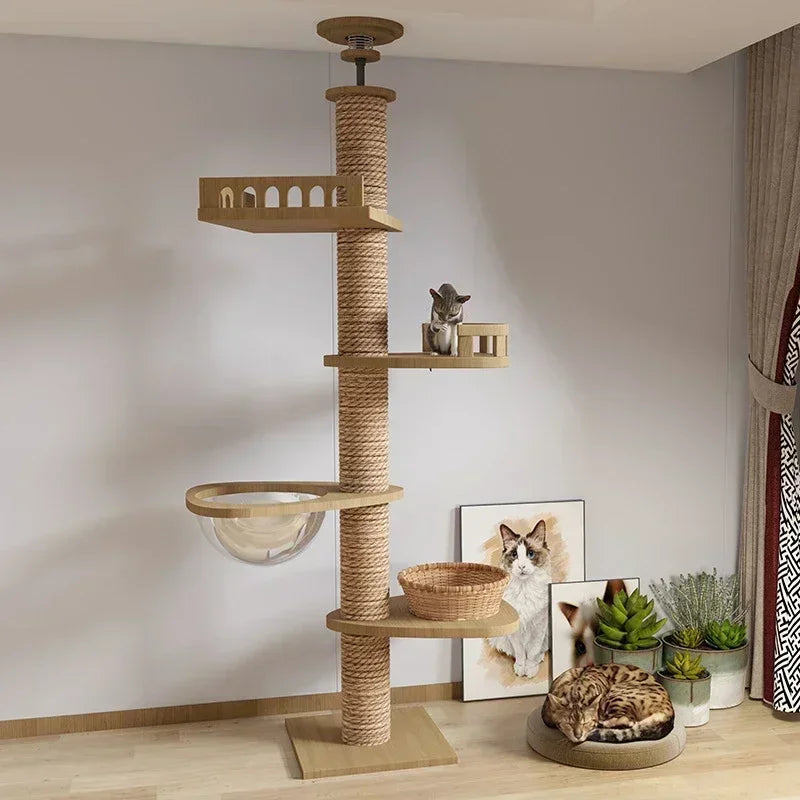 cat tree