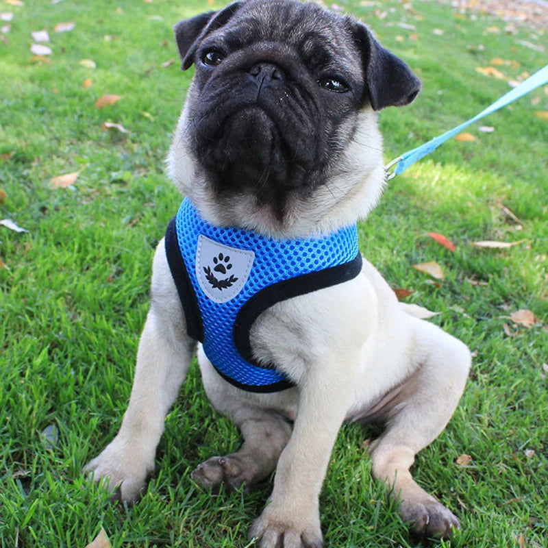 French Bulldog Harness for Small Dogs — Soft Mesh Breathable Vest, Adjustable Reflective No-Pull Harness with Leash for Puppies
