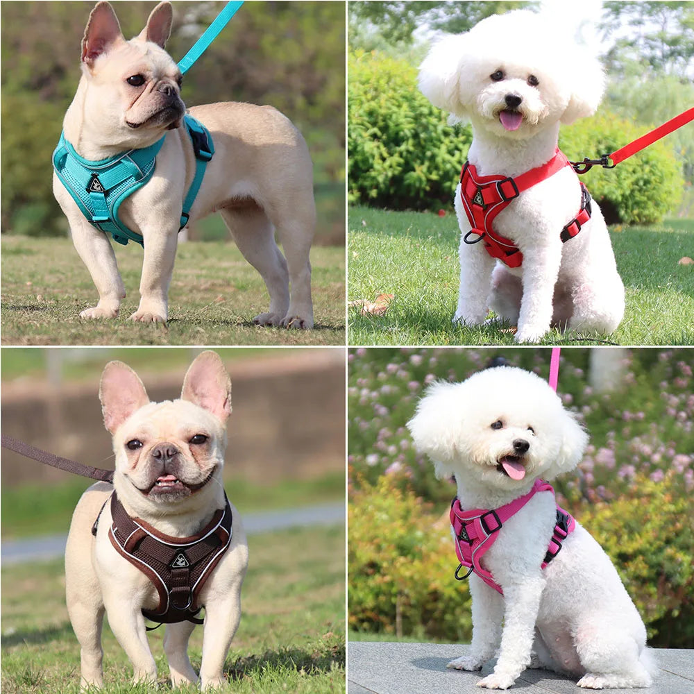 French Bulldog Harness and Leash Set — Padded Vest for Small Dogs, Pug, Pitbull, Puppy | Quick Release, 6 Colors