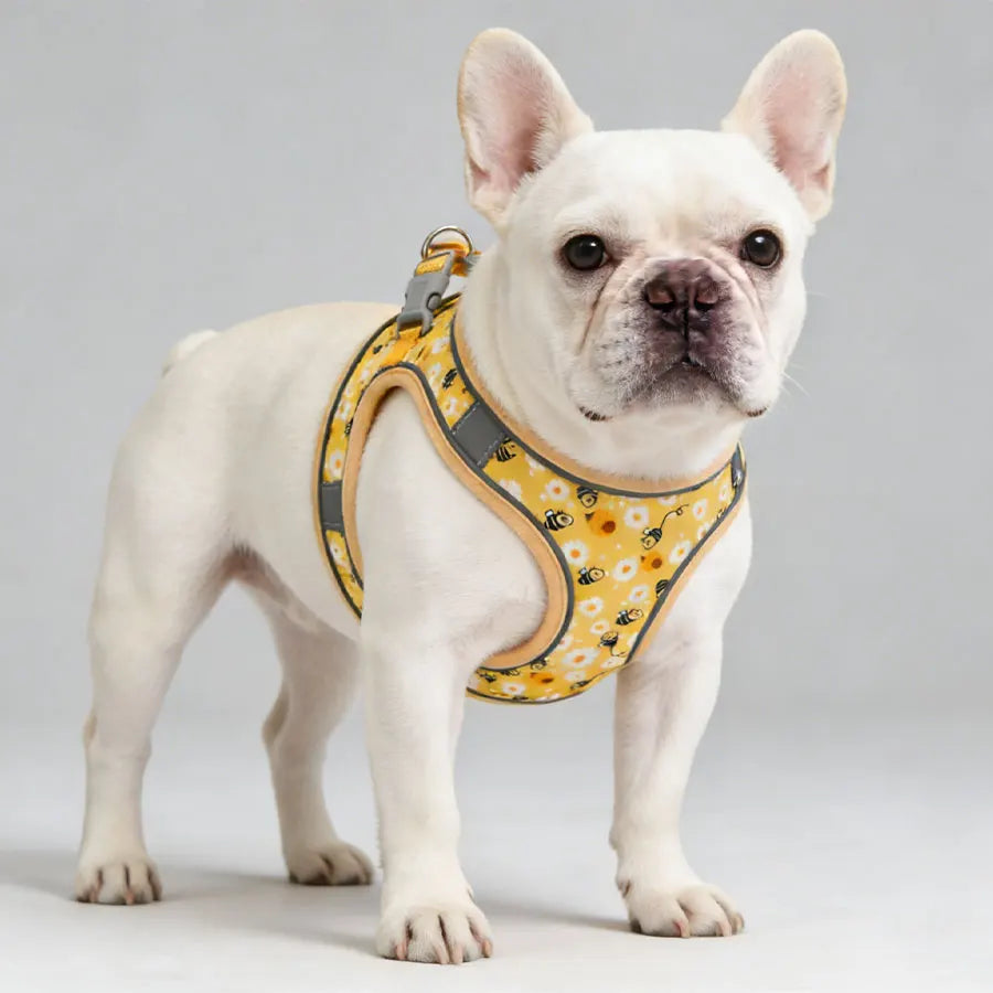 French Bulldog Harness with Leash — Honeycomb Mesh Breathable Vest, No-Pull Adjustable Dog Harness for Small Breeds & Puppies