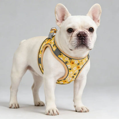 French Bulldog Harness with Leash — Honeycomb Mesh Breathable Vest, No-Pull Adjustable Dog Harness for Small Breeds & Puppies