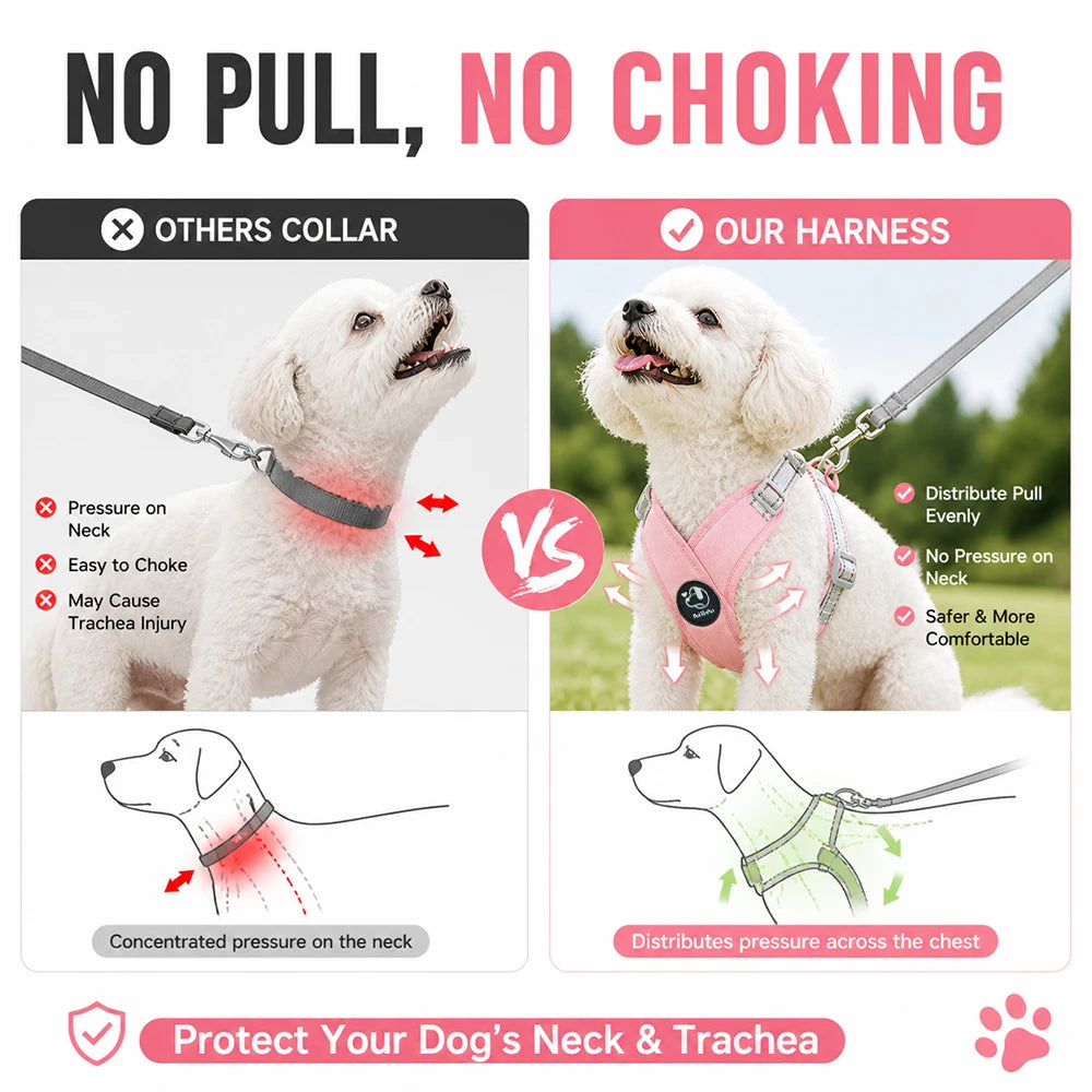 French Bulldog Harness and Leash Set — Reflective Adjustable Vest with Metal D-Ring, Breathable No-Pull Walking Harness for Small Dogs