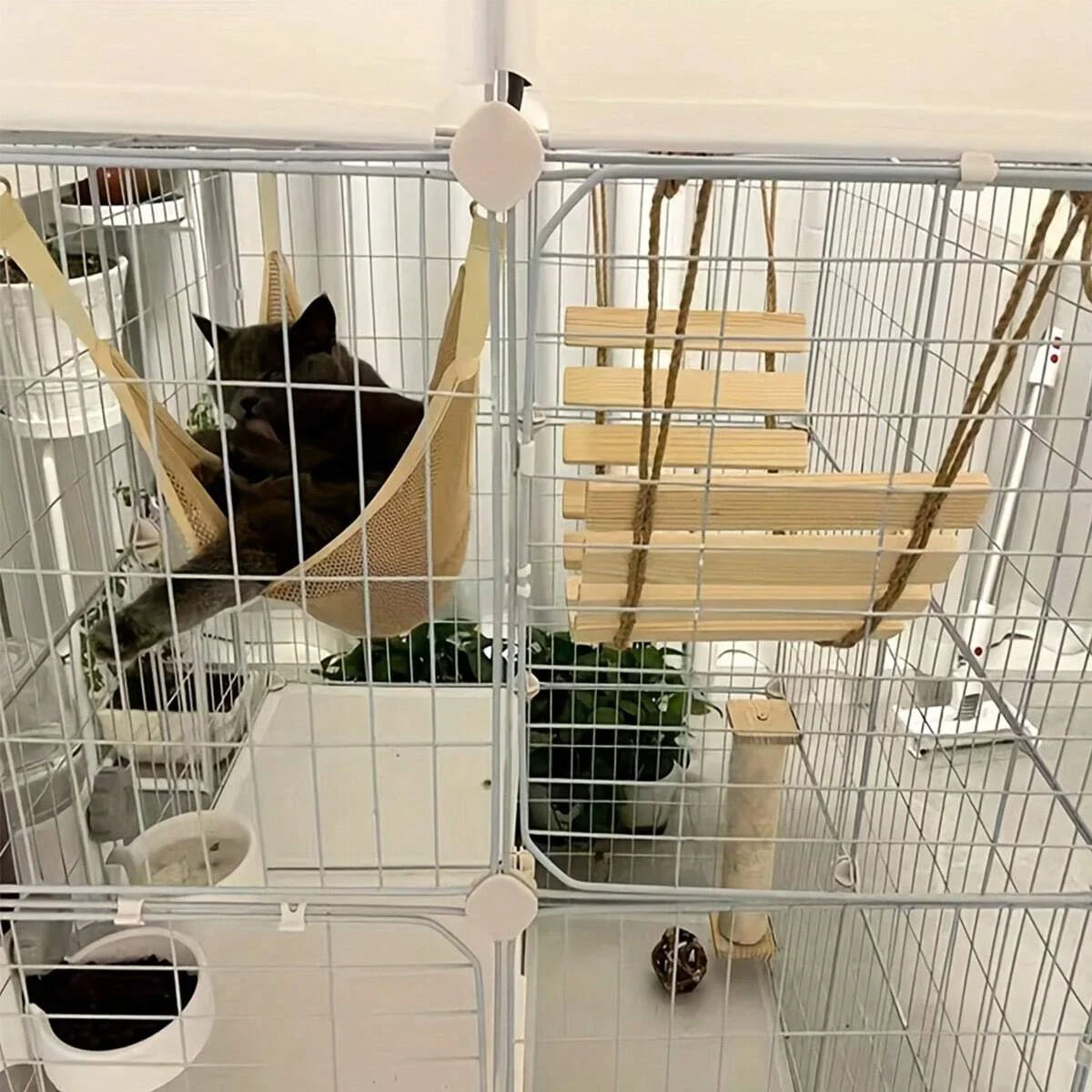 Natural Wood Cat Climbing Ladder Bridge Tree Versatile for Cages Wardrobes Ideal for Playful Kittens Pet Furniture Accessories