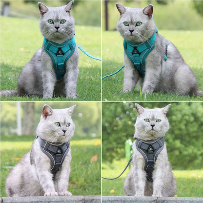French Bulldog Harness and Leash Set — Padded Vest for Small Dogs, Pug, Pitbull, Puppy | Quick Release, 6 Colors