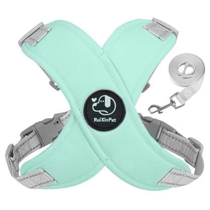 French Bulldog Harness and Leash Set — Reflective Adjustable Vest with Metal D-Ring, Breathable No-Pull Walking Harness for Small Dogs